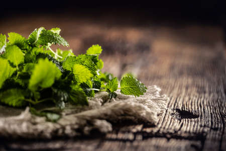 Naturally green melissa herbs on rustic jute or flax napkin folded on dark wood.の写真素材