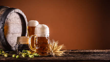 Three glasses with draft beer in front of a wooden barrel. Decoration of barley ears and fresh hops.の写真素材
