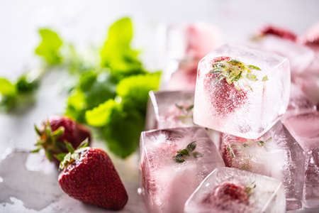 Fresh strawberries frozen in ice blocks with melissa leaves.
