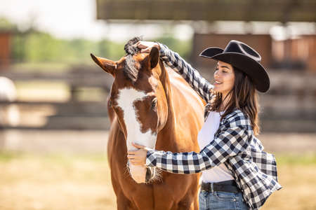 Young woman brushes her paint horse outdoors on a farm.の写真素材