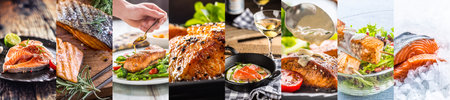 Salmon meals food concept of finished dishes displayed in a banner format collage.の写真素材