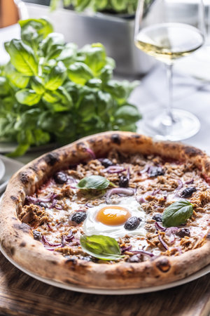 Tuna pizza with onions and olives, basil and sunny side up egg on top.の写真素材
