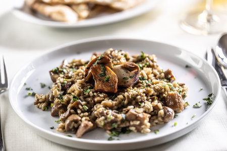 Creamy Italian mushroom risotto on a white plate.の写真素材