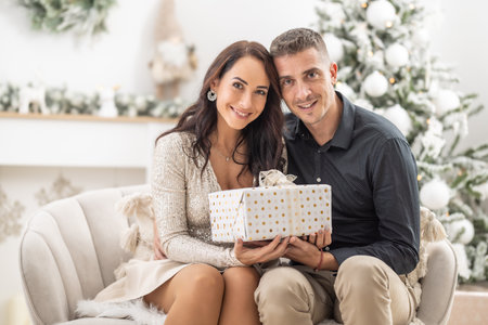 Husband and wife enjoy Christmas togetherness holding a present in front of the Christmas tree.の写真素材