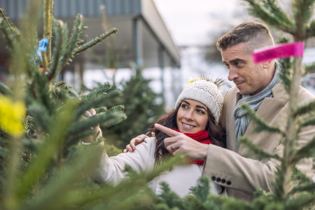 A happy couple buys a Christmas tree at the market, imported from the Nordic countries. A couple choosing a tree at a Christmas tree farm.の写真素材