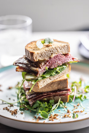 New York sandwich with pastrami, sauce and herbs. Fast food concept.の写真素材