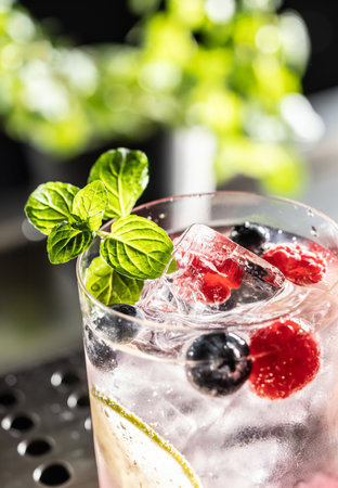 Pink cocktail Gin Tonic drink with raspberries, blueberries, lime and fresh mint - Close up.の写真素材