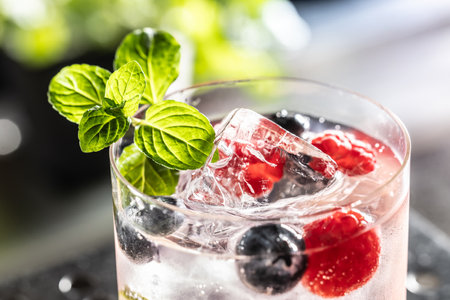 Pink cocktail Gin Tonic drink with raspberries, blueberries, lime and fresh mint - Close up.の写真素材