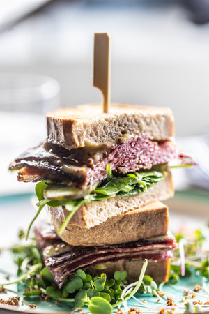 New York sandwich with pastrami, sauce and herbs. Fast food concept.の写真素材