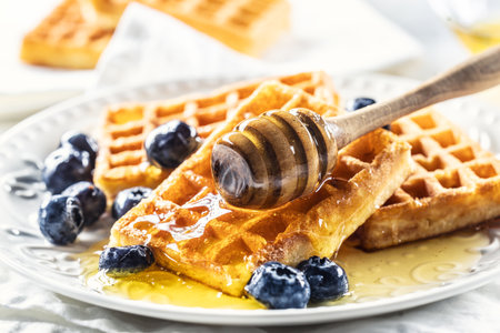 Sweet and very tasty waffles with honey and blueberries.の写真素材