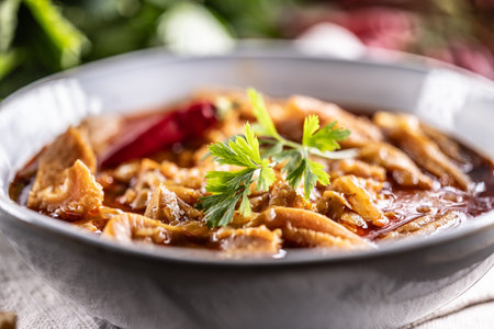 Tasty soup or stew made of beef tripe and spices. Spicy and aromatic tripe soup seasoned with pepper and served with bread.の写真素材