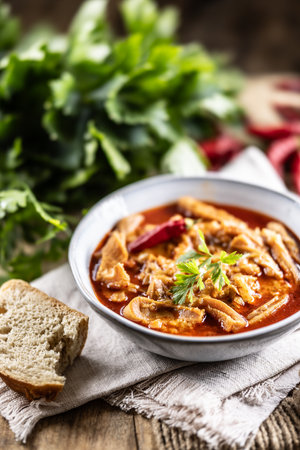 Tasty soup or stew made of beef tripe and spices. Spicy and aromatic tripe soup seasoned with pepper and served with bread.の写真素材