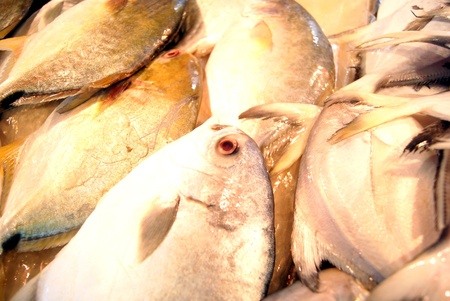 Fish and fish flesh pieces 