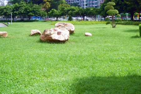 Park landscape の写真素材