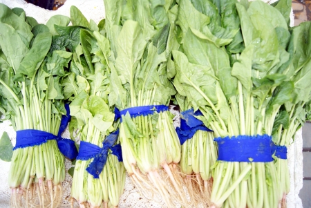 spinach 