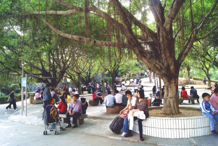 Shenzhen xixiang park のeditorial素材