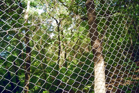 Barbed wire の写真素材