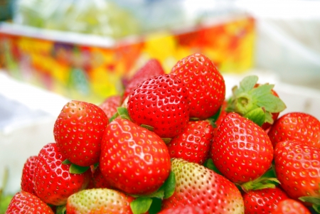 strawberry の写真素材