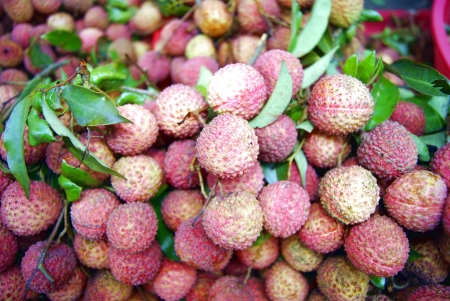 litchi の写真素材