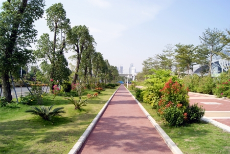 Road and garden の写真素材