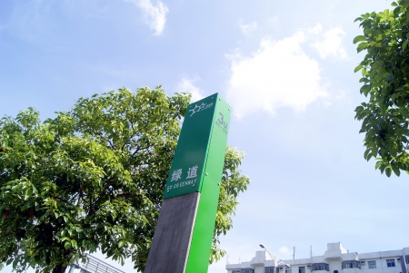 Green road の写真素材