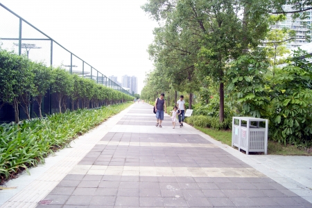 Sidewalks and trees のeditorial素材