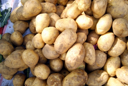 Potatoの写真素材