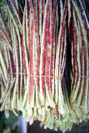 Long beansの写真素材