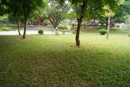 Shenzhen baoan xinan park landscape のeditorial素材