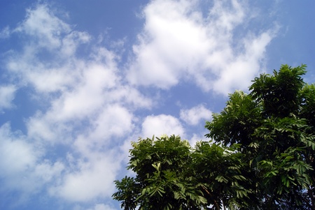 Blue sky and white clouds のeditorial素材