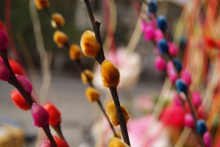 flowers の写真素材