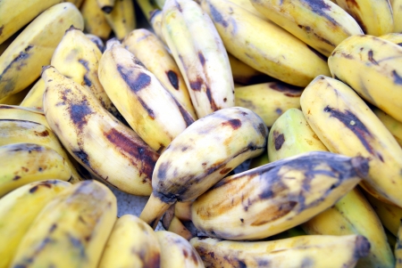 The banana の写真素材