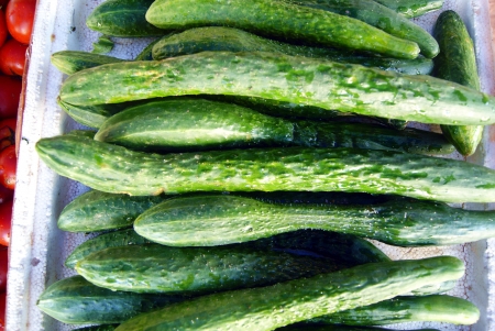Cucumberの写真素材