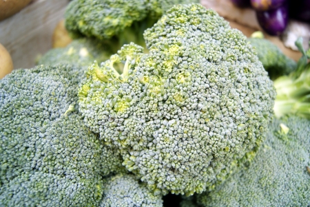 broccoli の写真素材
