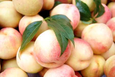 Peachの写真素材