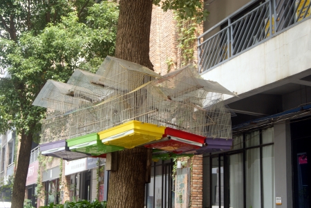 The bird s cageのeditorial素材