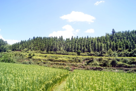 Chinese rural landscapeの写真素材