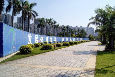 Trees beside the roadの写真素材