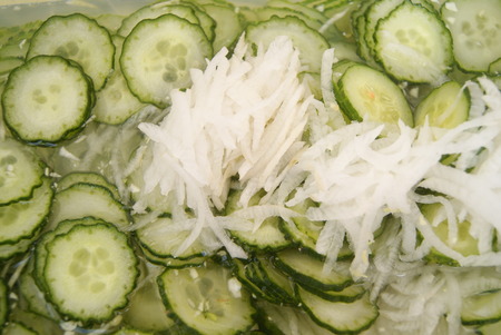 Cucumber slicesの写真素材