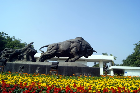 The cow statue, in Shenzhen, Chinaのeditorial素材