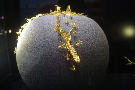 Gold products: insects and lotus shape, very realisticの写真素材