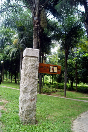 Forest parkの写真素材