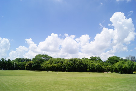 green lawnの写真素材