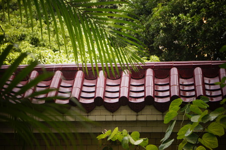 The fence, in Shenzhen, China