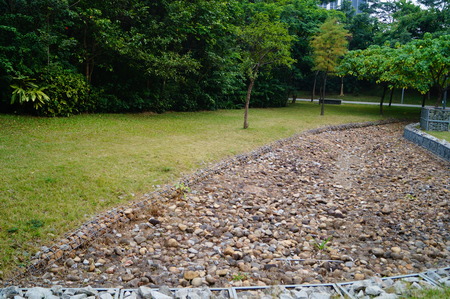 Trees and ditch in the green parkの写真素材