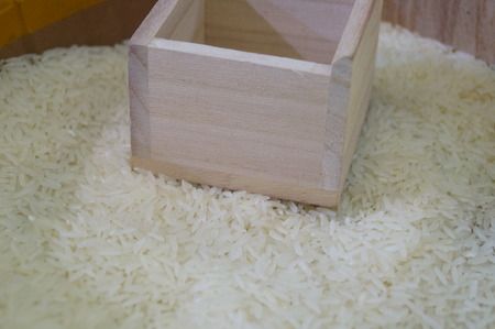 Thailand riceの写真素材