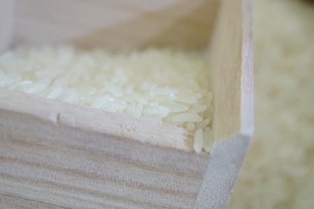 Thailand riceの写真素材