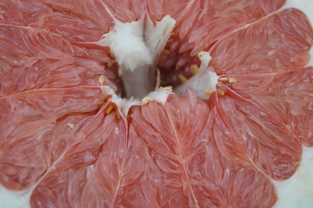 Grapefruit meat