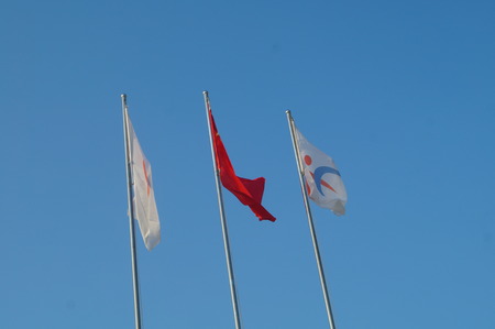 Color flag