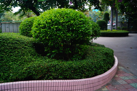 Park green beltsの写真素材